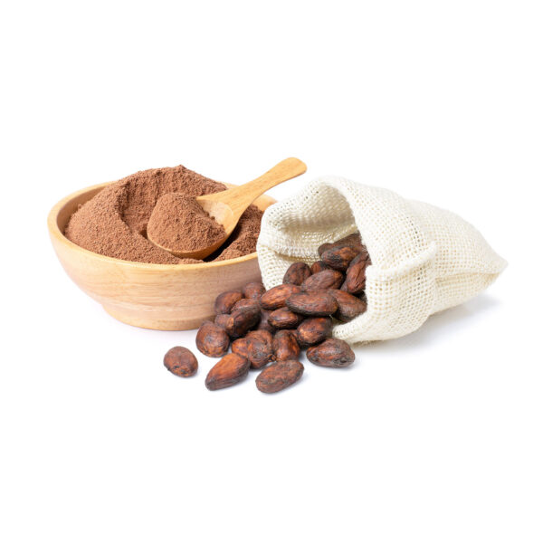 Recharge cacao en poudre 500g